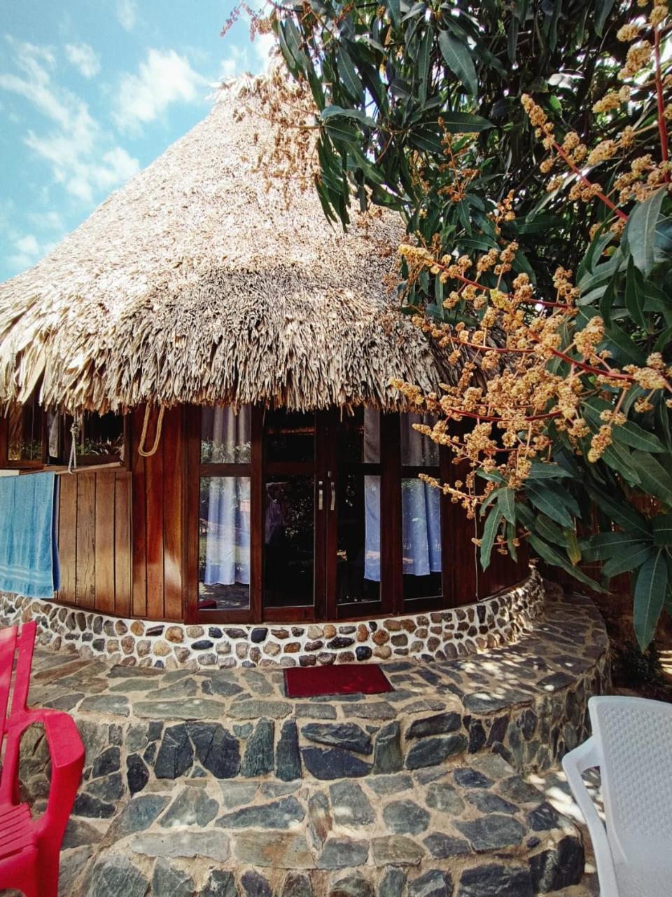 El Paraiso De Carmen 帕洛米诺 外观 照片