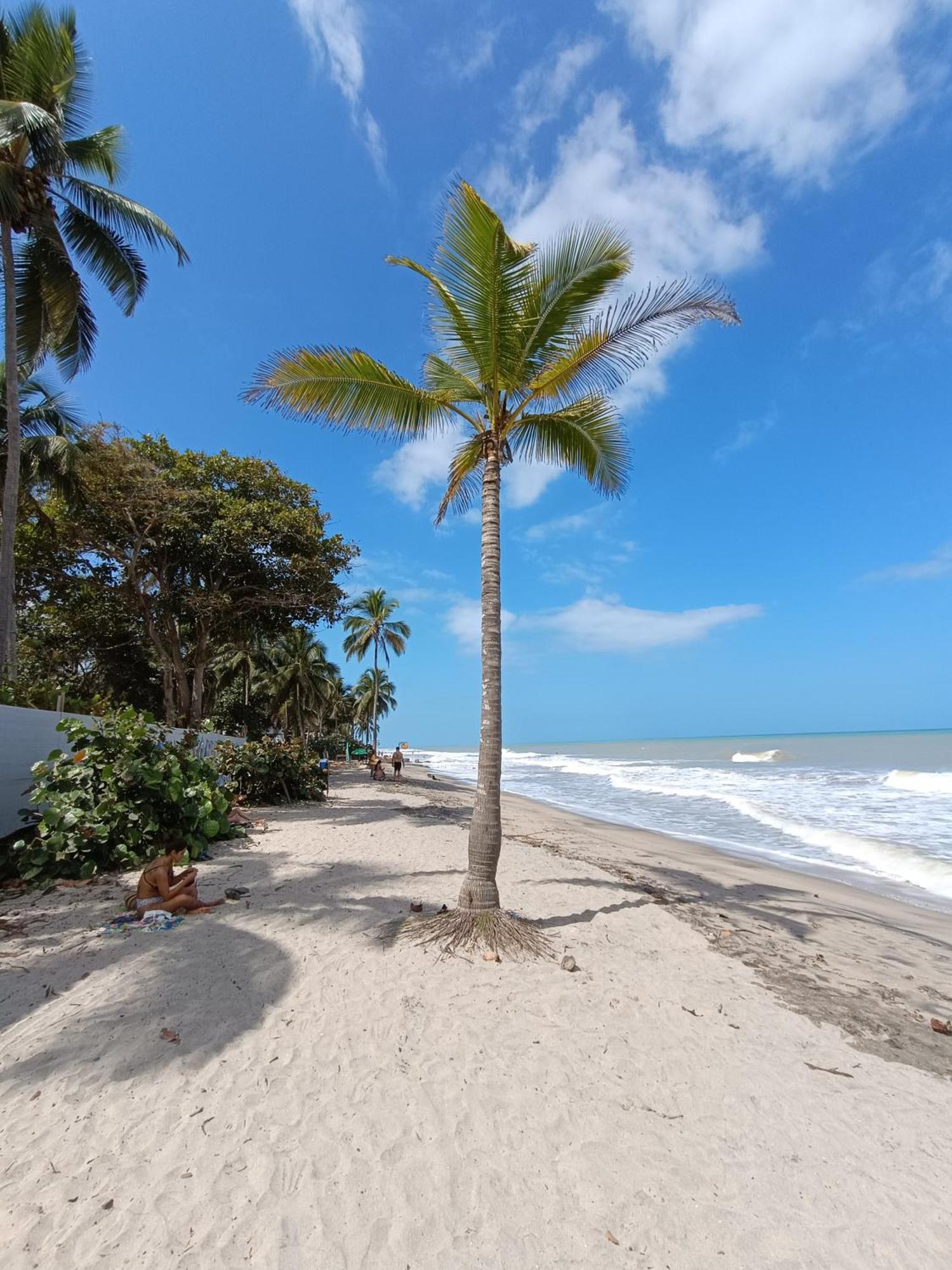 El Paraiso De Carmen 帕洛米诺 外观 照片