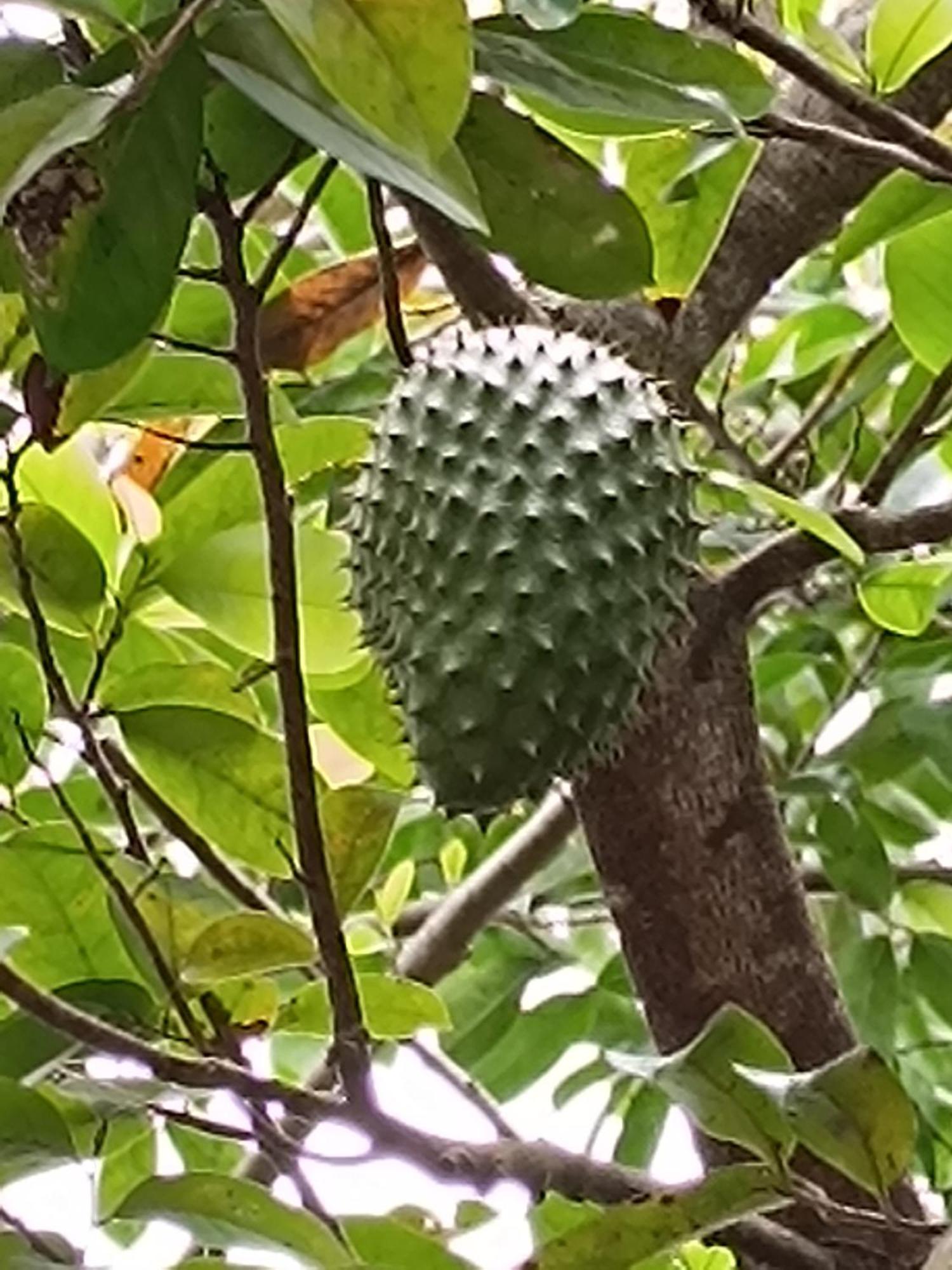 El Paraiso De Carmen 帕洛米诺 外观 照片
