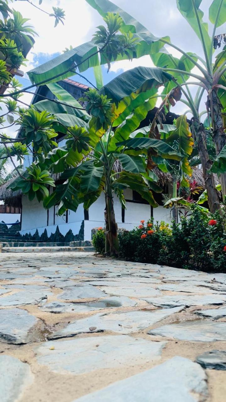 El Paraiso De Carmen 帕洛米诺 外观 照片
